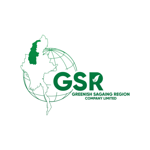 GSR